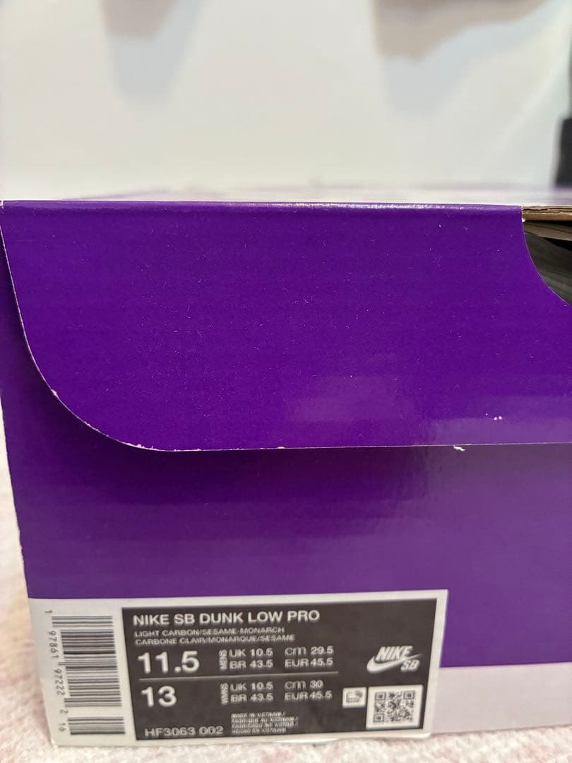 靴 NIKE sb dunk low pro