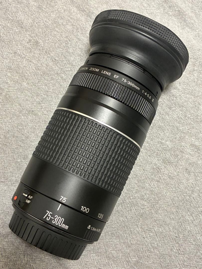 ⭐️美品⭐️ Canon EF 75-300mm F4-5.6 III フード付き
