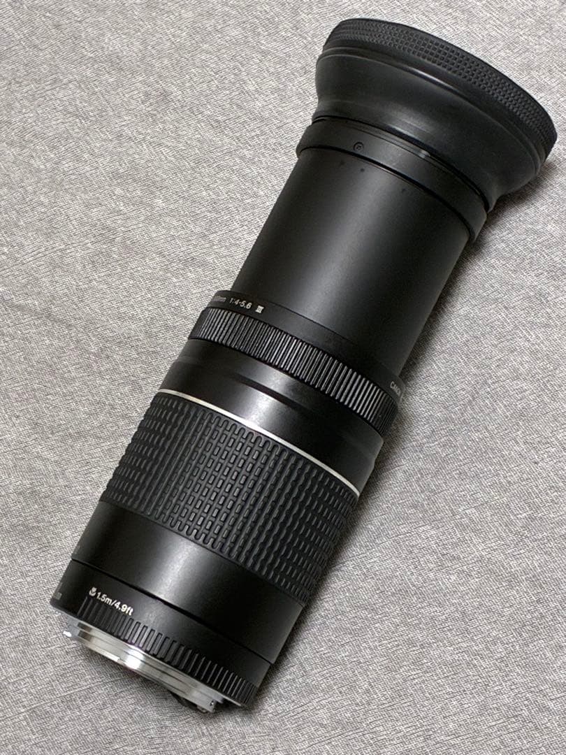 ⭐️美品⭐️ Canon EF 75-300mm F4-5.6 III フード付き