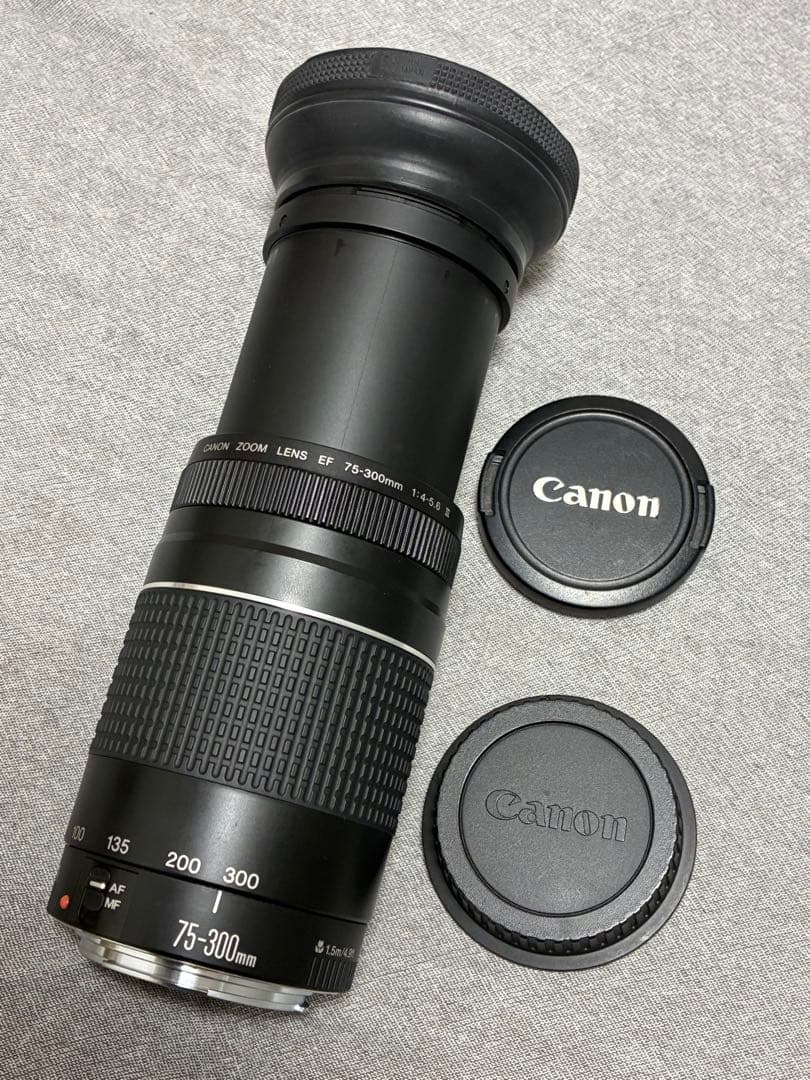 ⭐️美品⭐️ Canon EF 75-300mm F4-5.6 III フード付き
