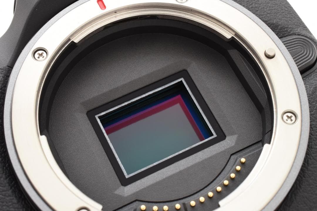 Canon キャノン EOS R100