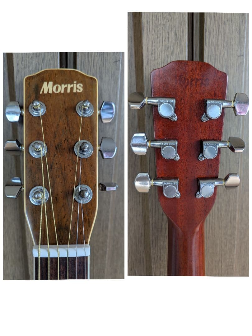 ♪Morris M-50 VSハカランダ・トップ単板♪