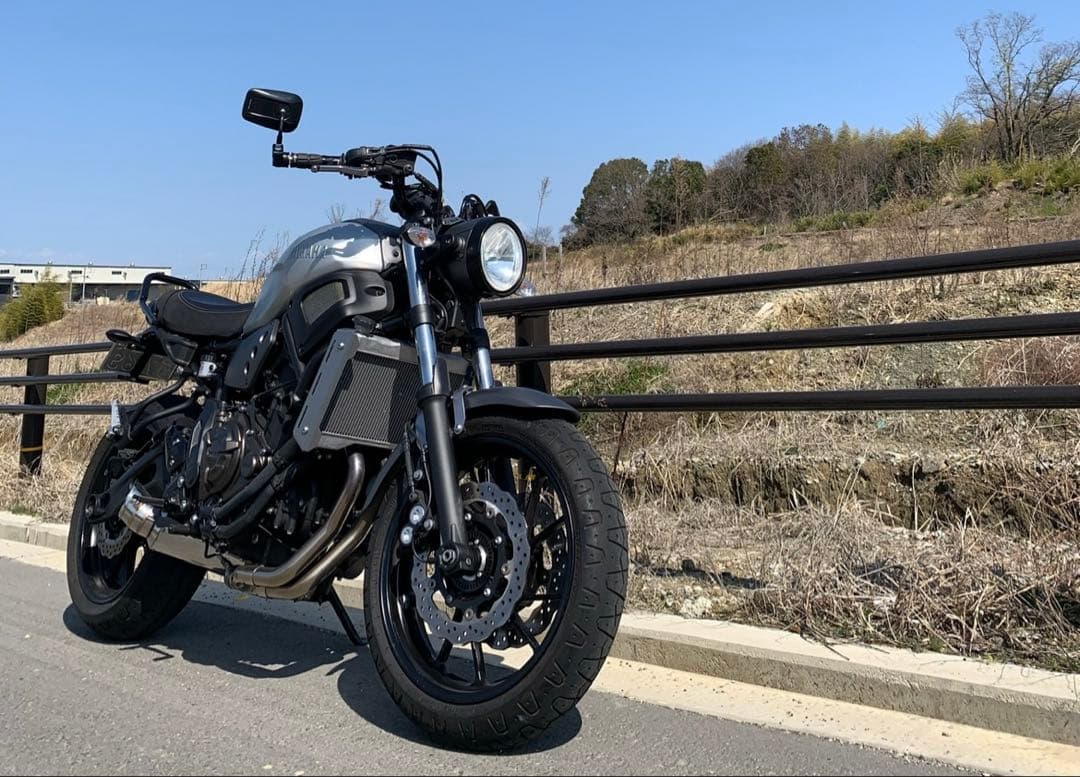 ナポレオン　バレンネオミラーS