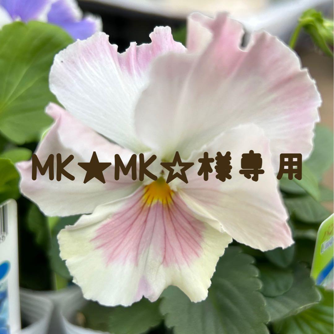 REPLAY レザージャケット シングルライダース 黒　お値下げ‼️