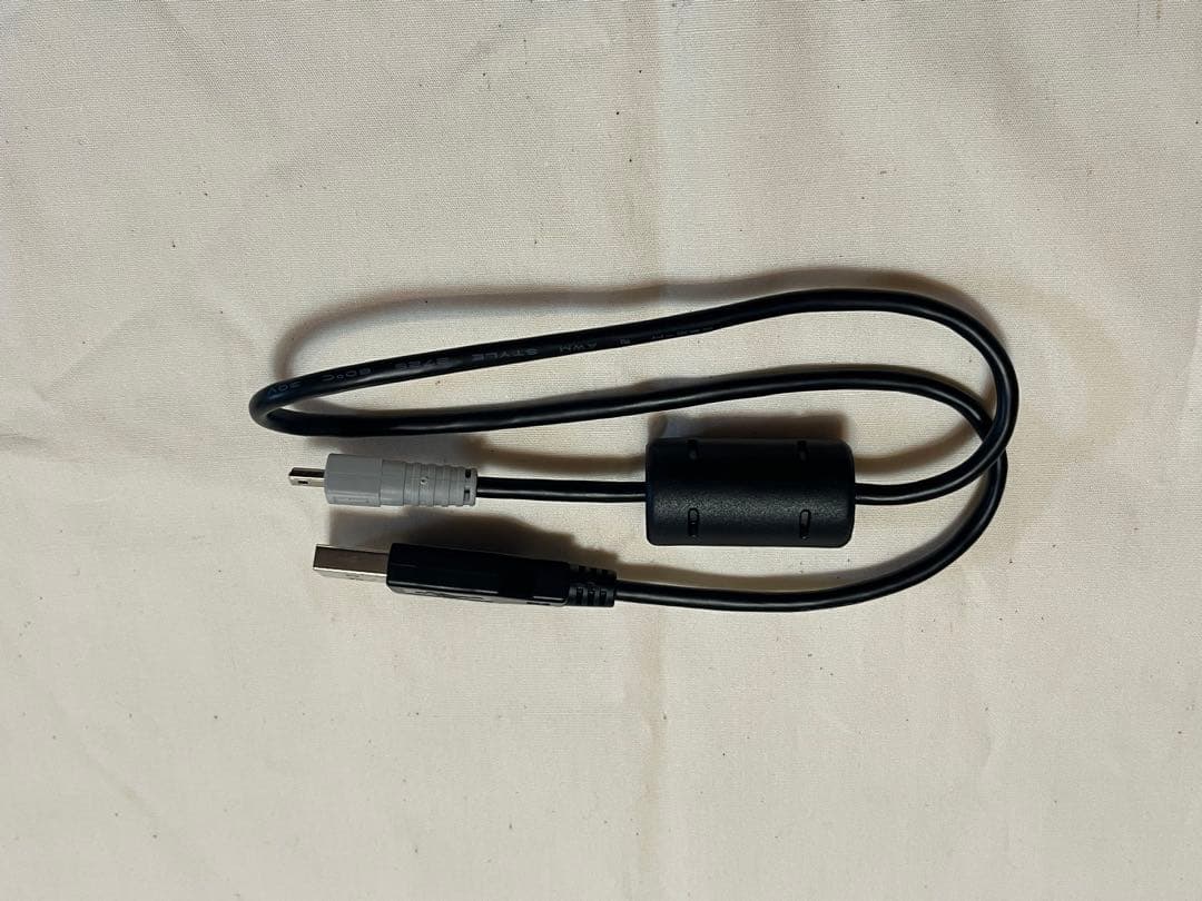 RICOH GR DIGITAL IV 本体 付属品 コンパクトデジタルカメラ