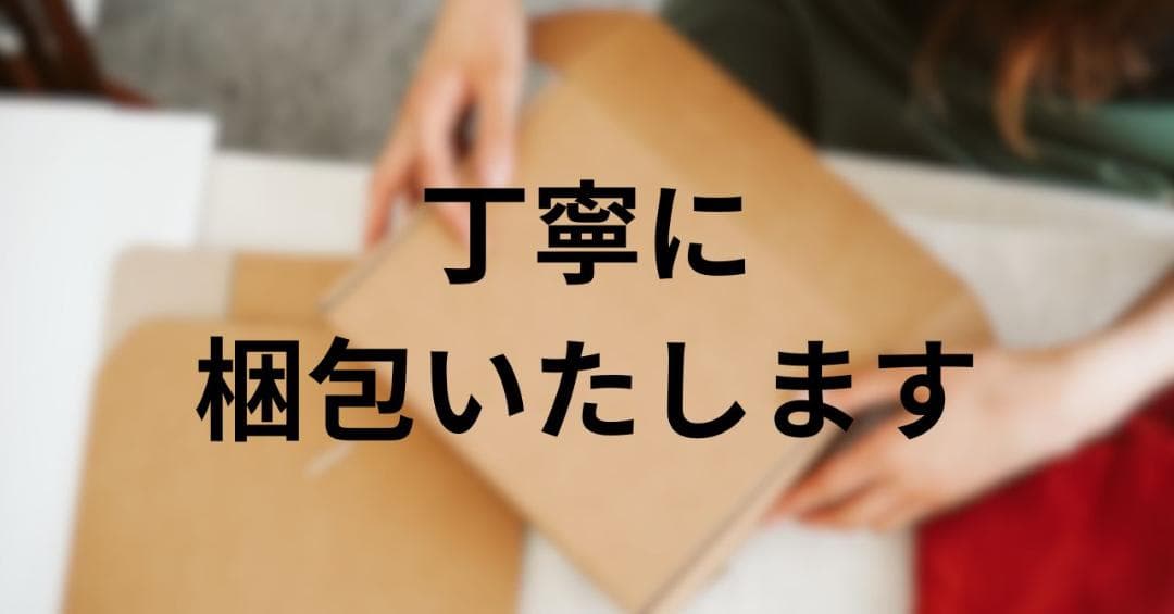 掃除機 コードレス Bivark 28000pa超強力吸引【2025業界初!rm