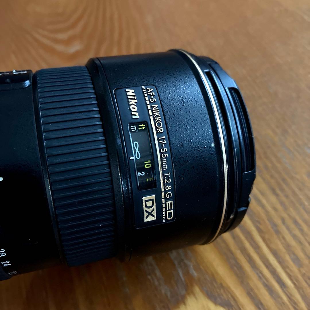 ニコン AF-S NIKKOR 17-55mm f/2.8G ED