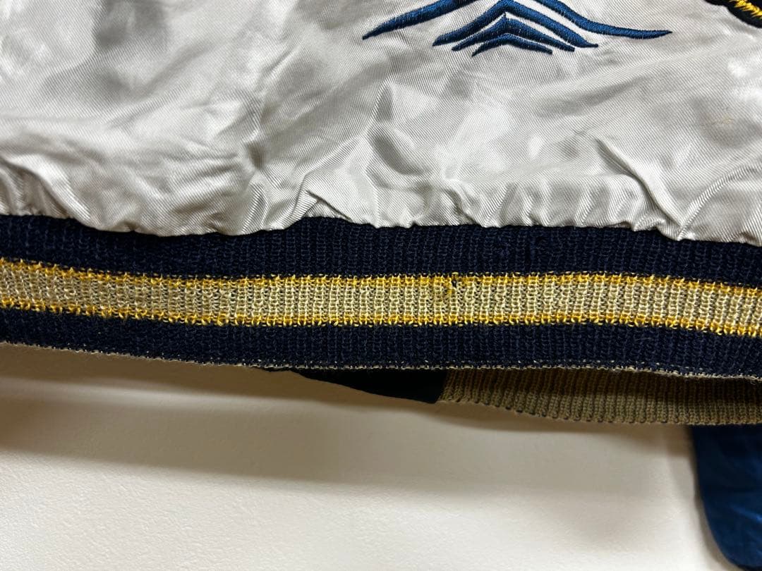 テーラー東洋 TT11696 龍、日本地図✖️鷹、富士 サイズL