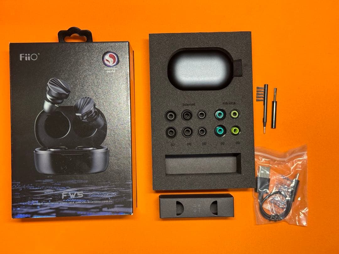 FiiO FW5 イヤーピース未使用