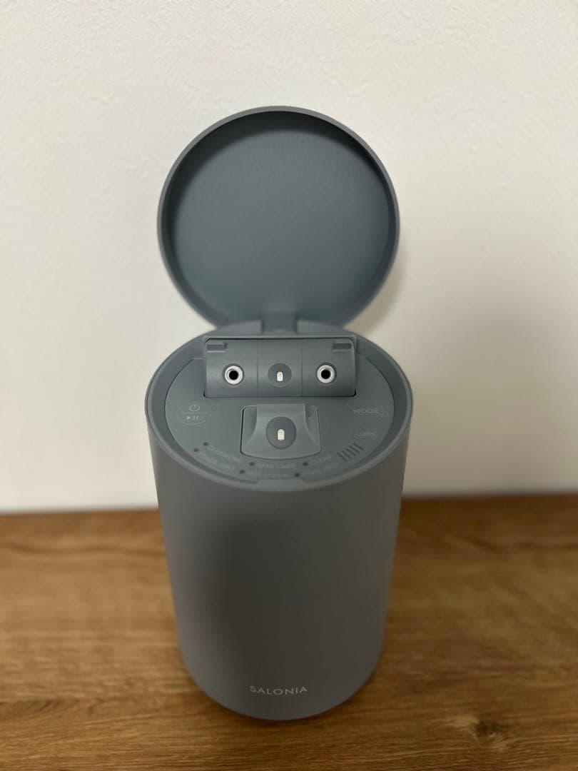 【美品】サロニア ピュアブライトスチーマー/SALONIA