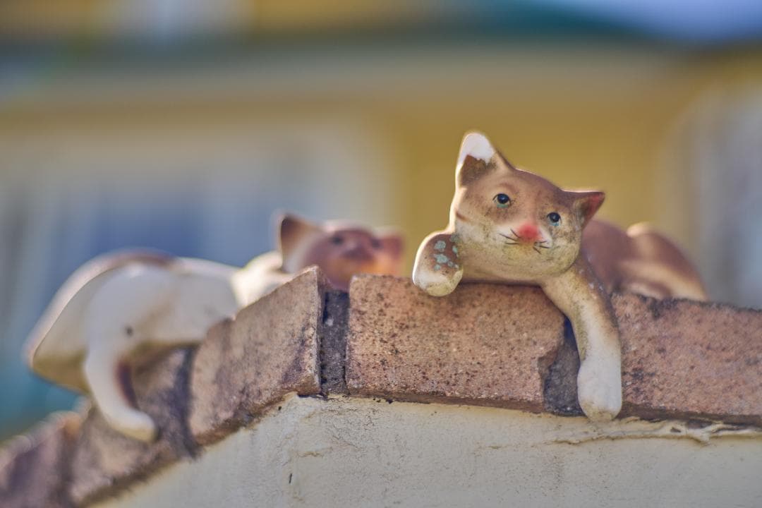 Carl Zeiss Planar 85mm F1.4 MMJ C/Yマウント