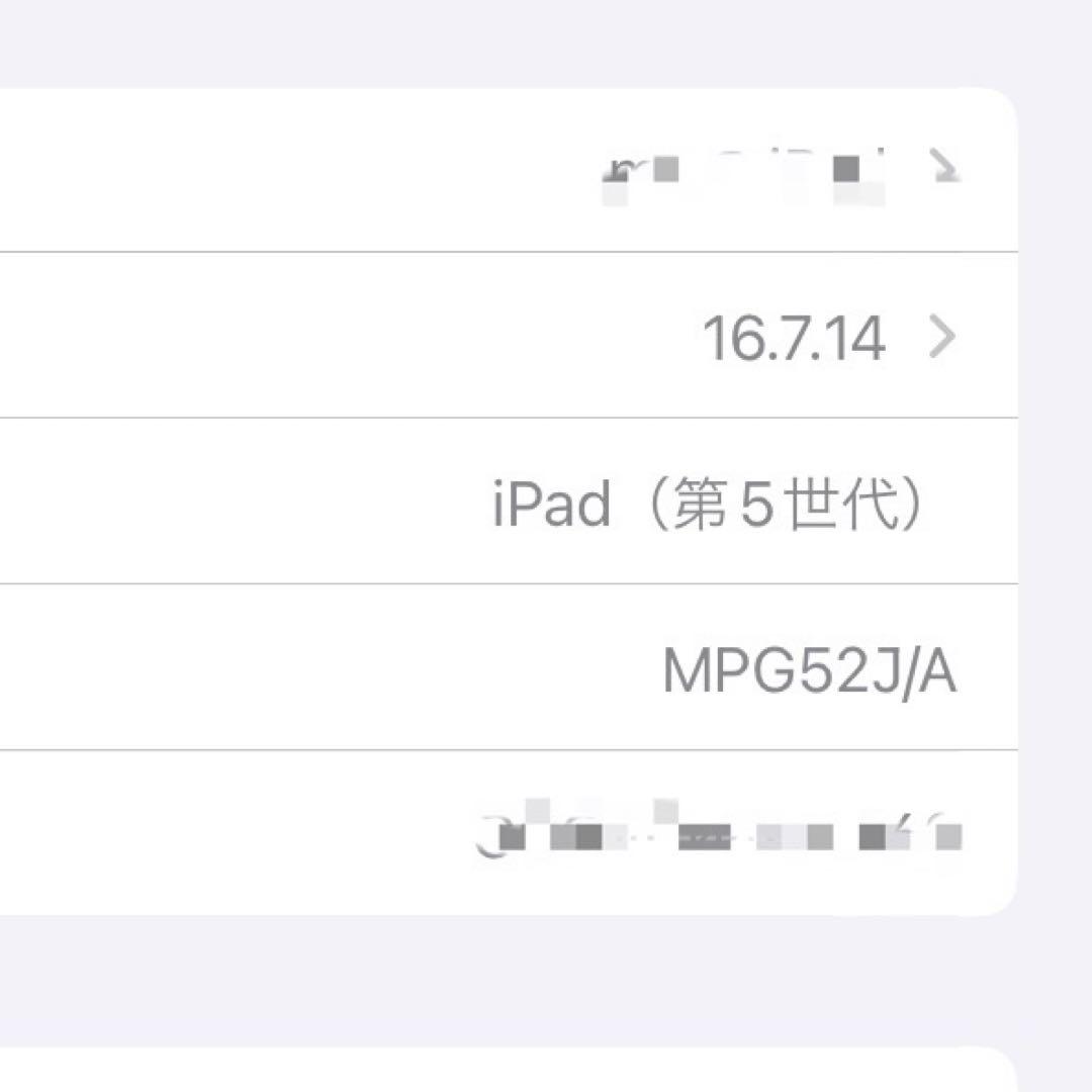 iPad 第五世代 Wi-Fi Cellular 128GB