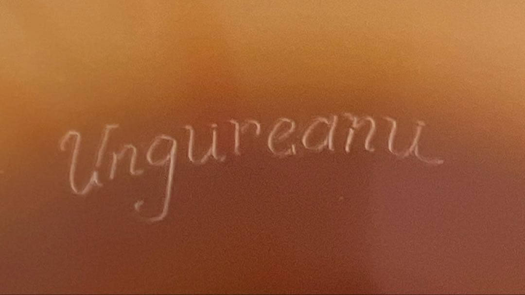 Ungureanu 湖水風景文　酸化腐食彫　大ランプ　高さ46㎝化粧共箱トヒルサ