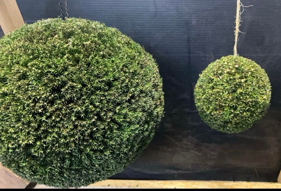 杉玉　屋根セット　約40センチ ‼️縁起物　丸くて幸せ　家族円満♪