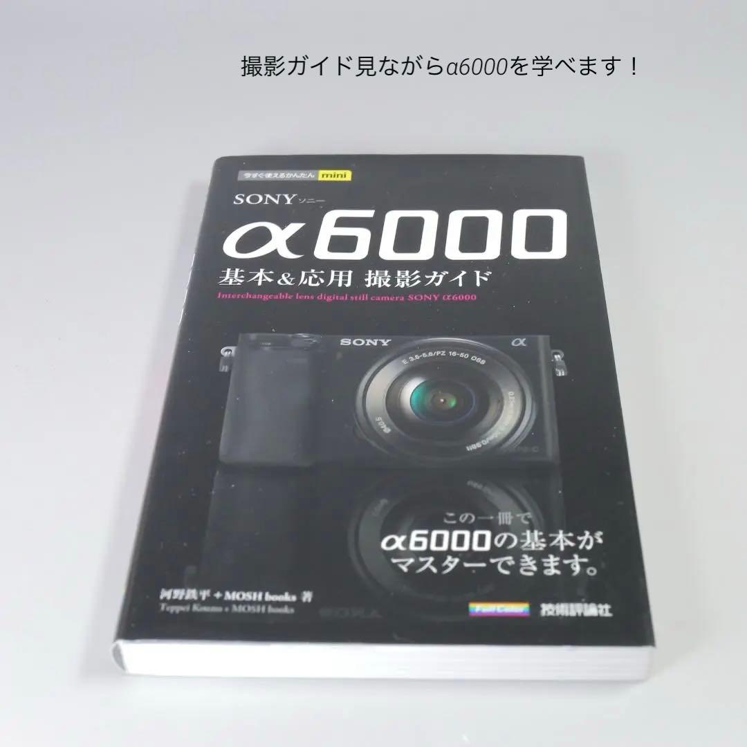 ☆ショット8688回☆SONY α6000 ミラーレス 18-55mm　＃252