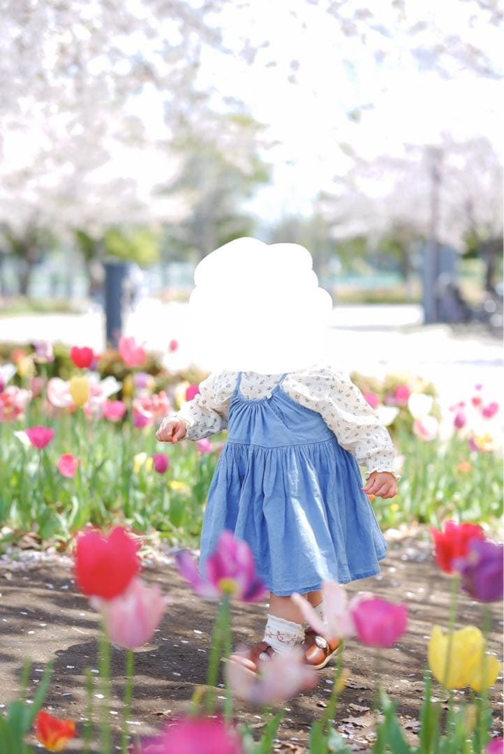 soor ploom ／Birdie 3y