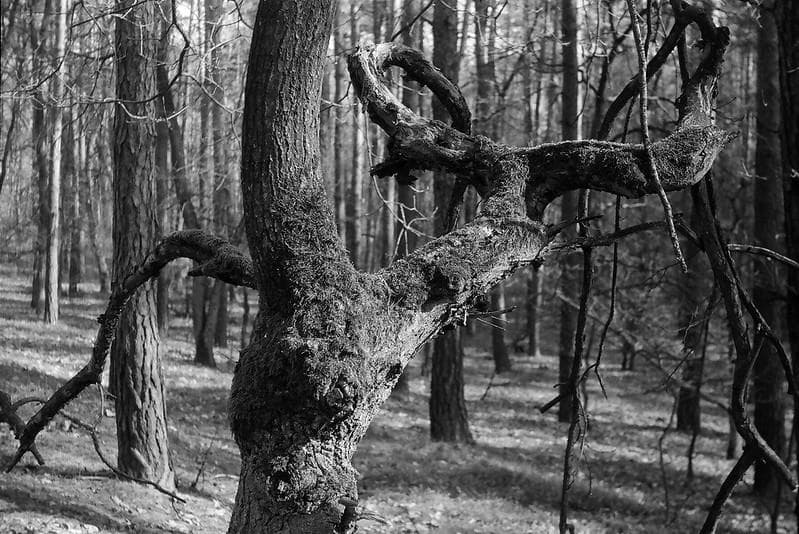 14　希少　沈胴式オールドレンズ FED 50　L39 純正ケース付