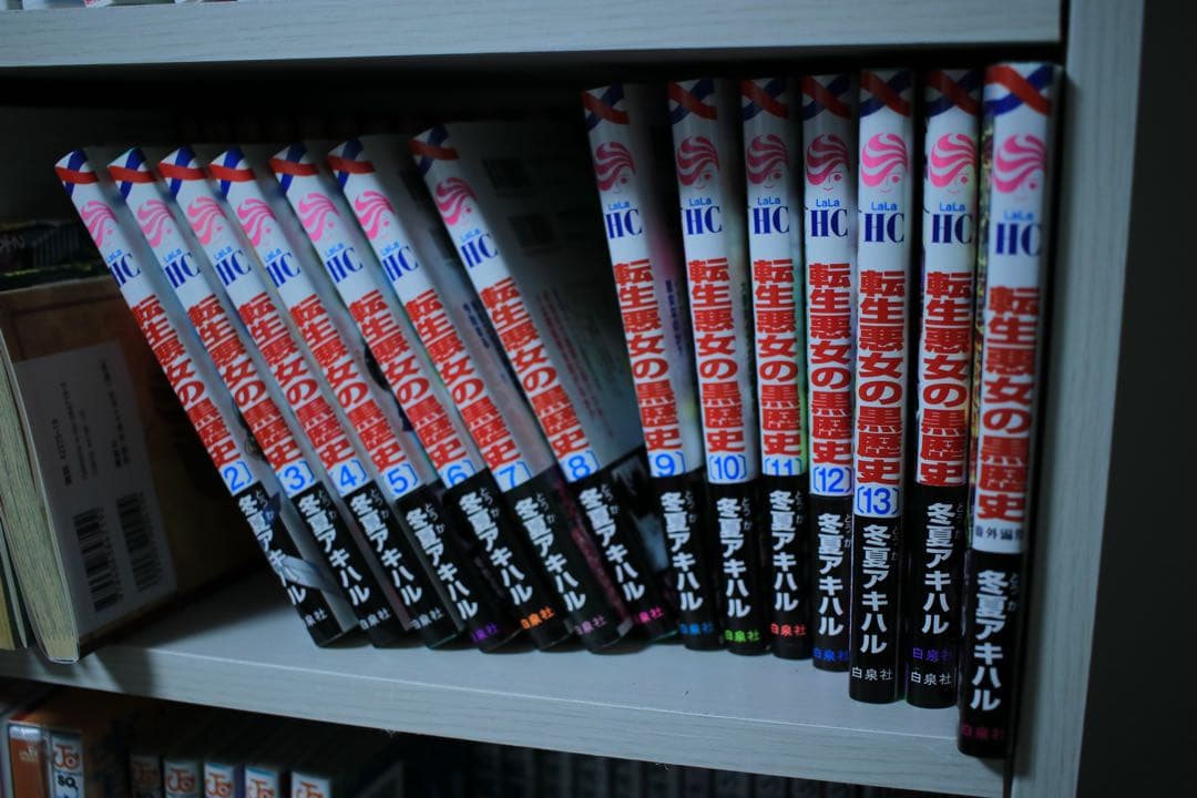 Canon EF-S 24mm f2.8 単焦点レンズ(箱なし)