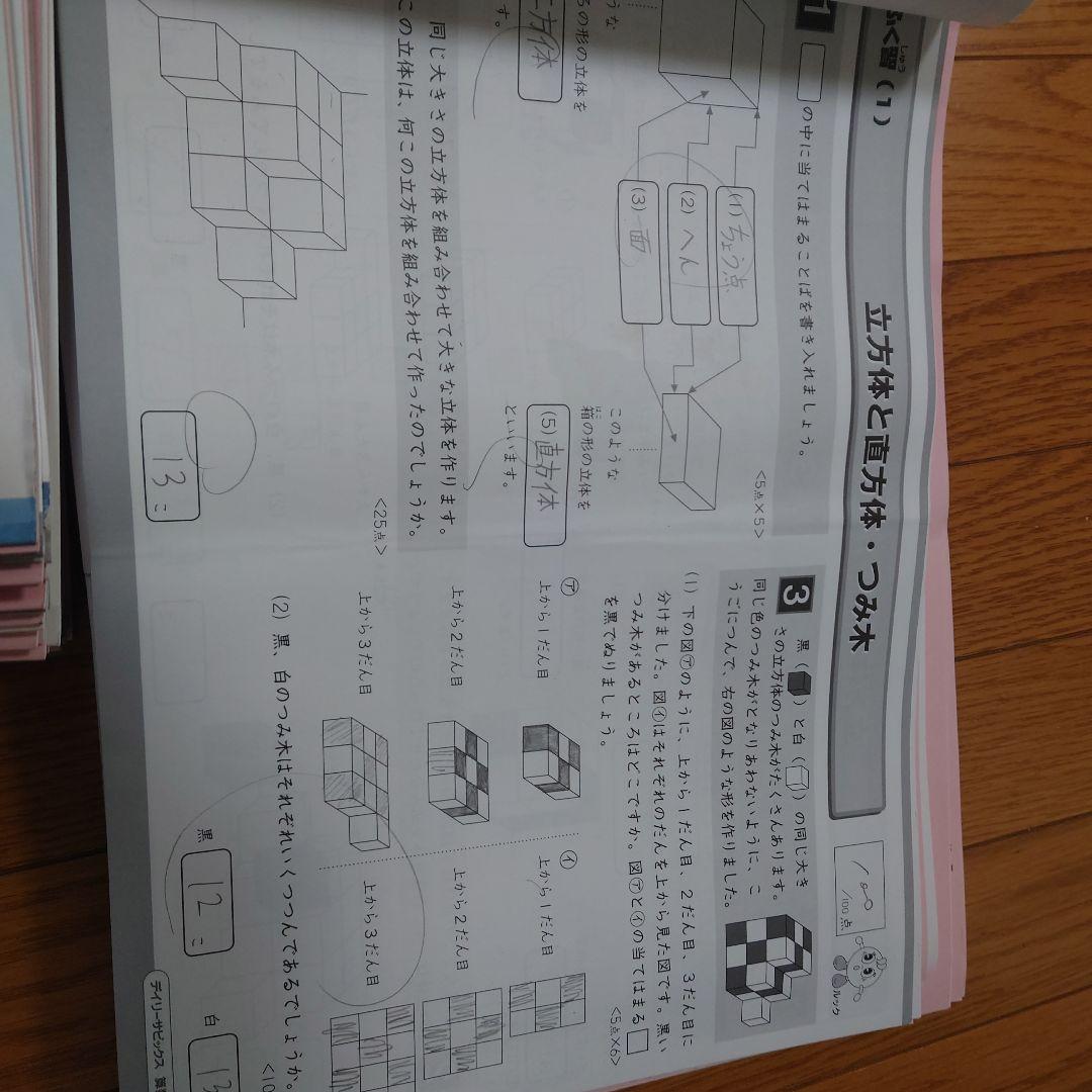 SAPIX 小3 テキスト、テスト（2〜12月冬期講習前まで）