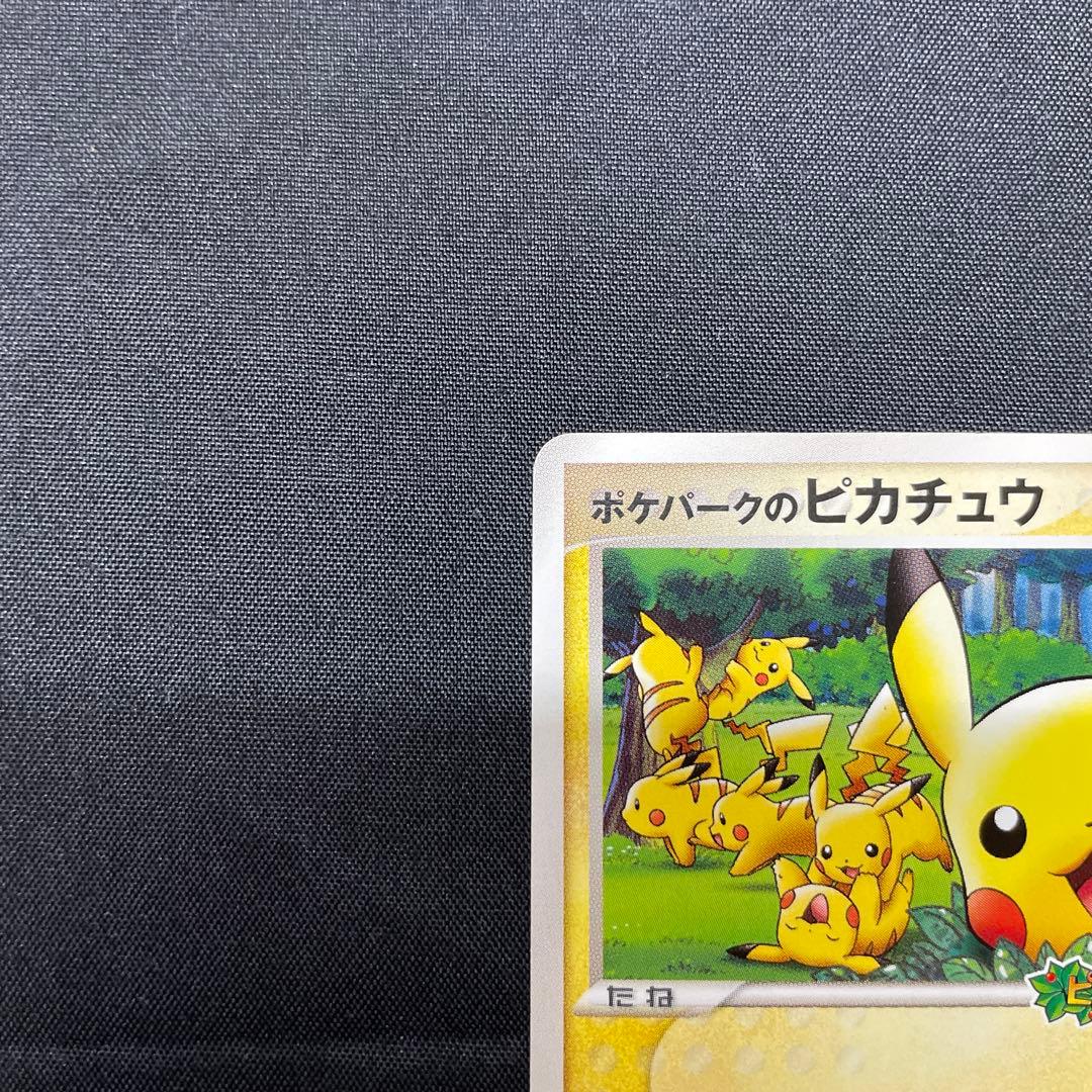 裏*ぶ様 ポケパークのピカチュウ PROMO PCG-Pプロモカード 043/P