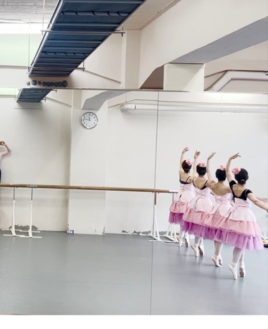 花のワルツ　大人13着セット