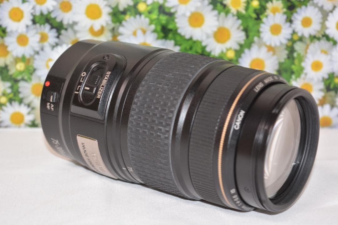 Canon EF 75-300mm IS USM❤フルサイズでも使える！❤超望遠