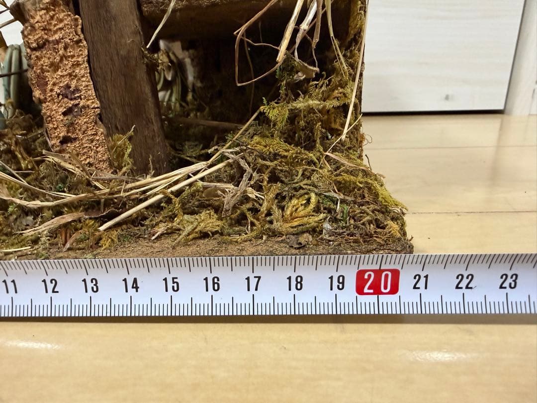 ネイティビティシーン キリスト誕生 ジオラマ フィギュア 木製 クリスマス装飾