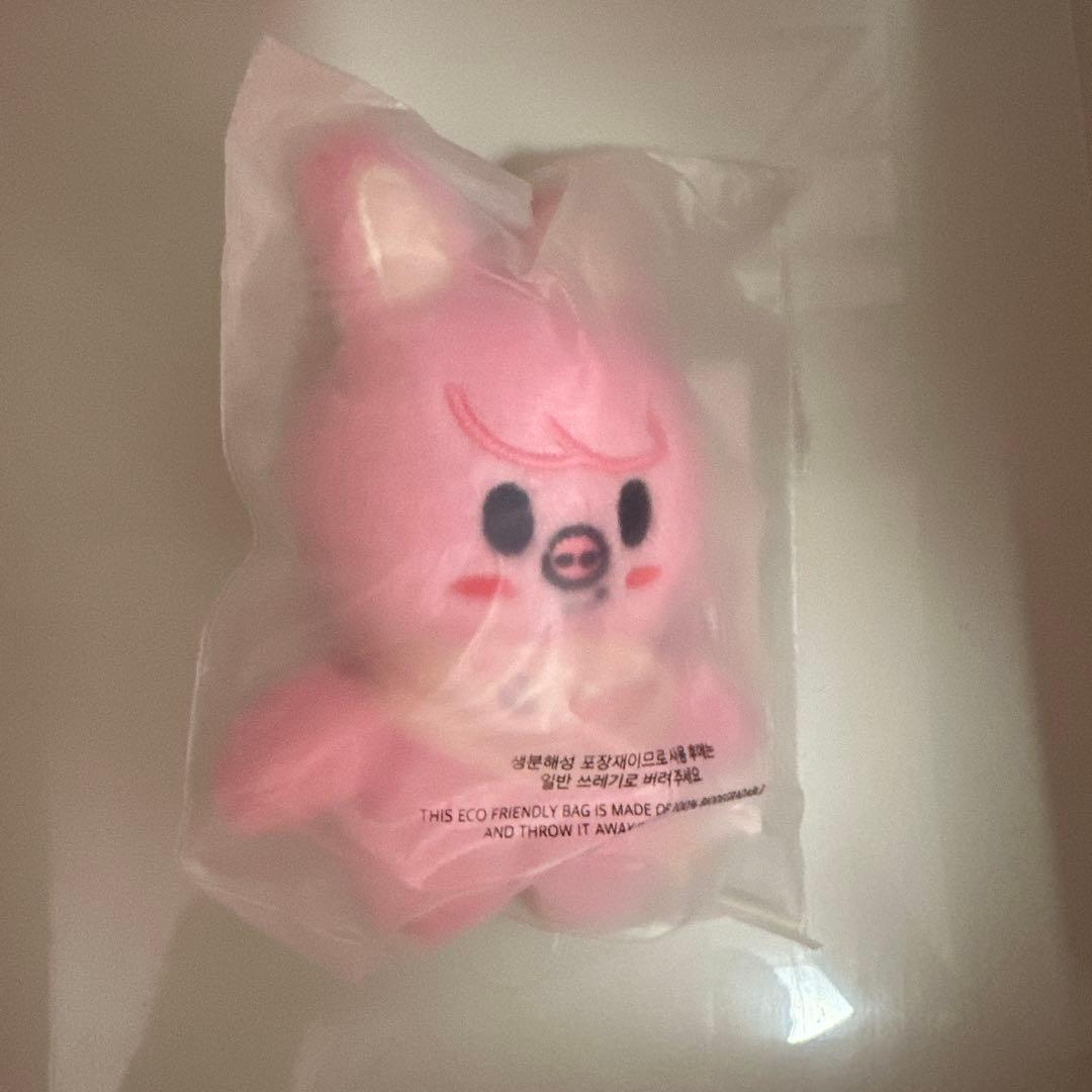 Stray Kidsぬいぐるみバンチャンチャンビンヒョンジンフィリックス