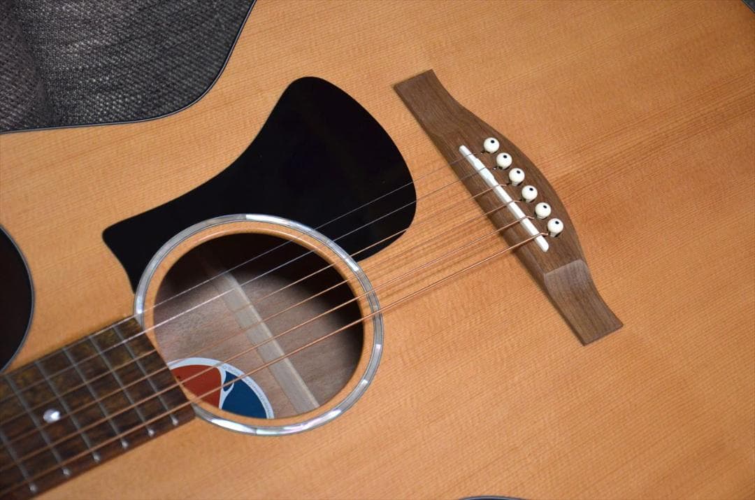 【美品】Eastman PCH1-GACE｜Fishman搭載・即日発送