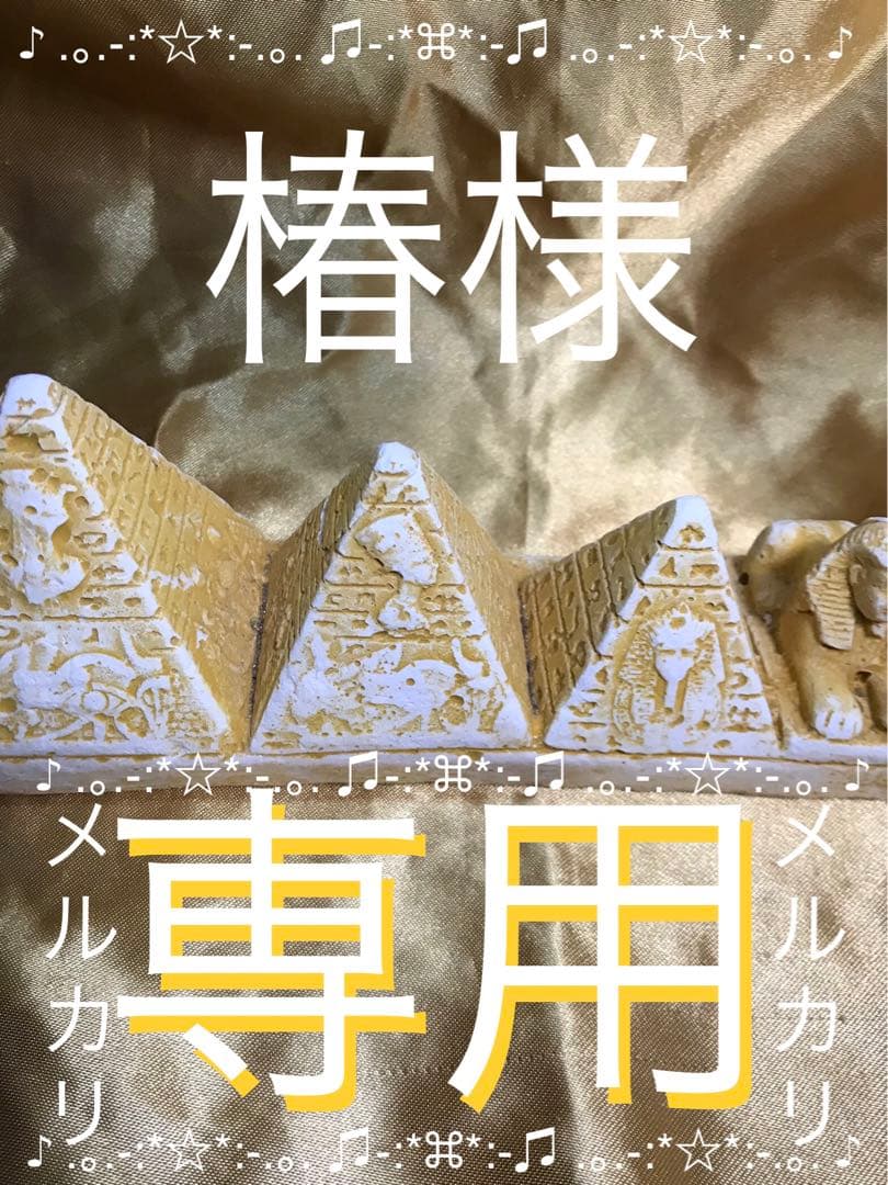 椿秘宝 5.8mlプラチナセール適用&【卸】第５弾感謝祭適応＋10ml