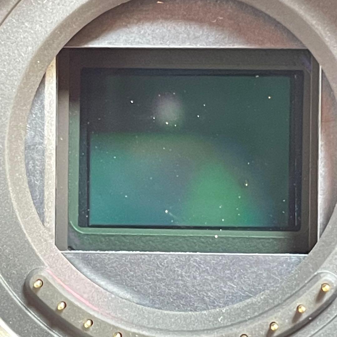 Panasonic LUMIX GX7mk2 本体とバッテリー×2 （訳あり）