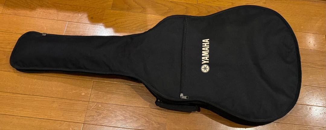 初心者おすすめ！　調整済みアコギ　Aria Dreadnought AF-205