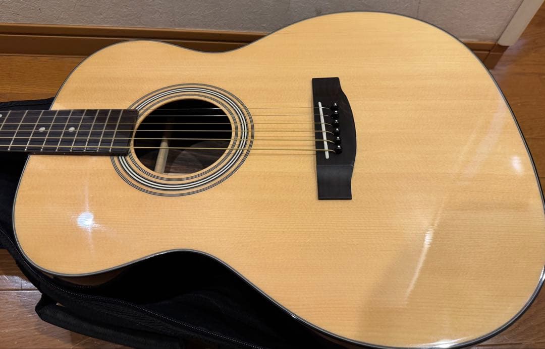 初心者おすすめ！　調整済みアコギ　Aria Dreadnought AF-205