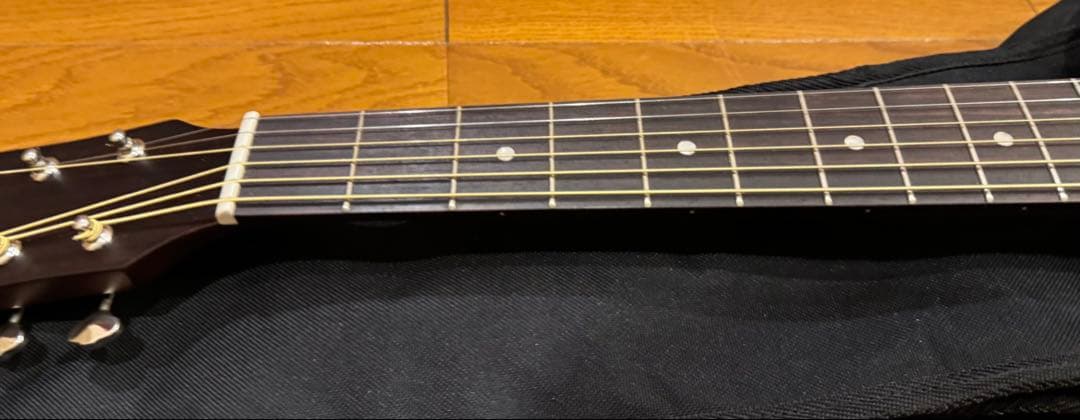 初心者おすすめ！　調整済みアコギ　Aria Dreadnought AF-205