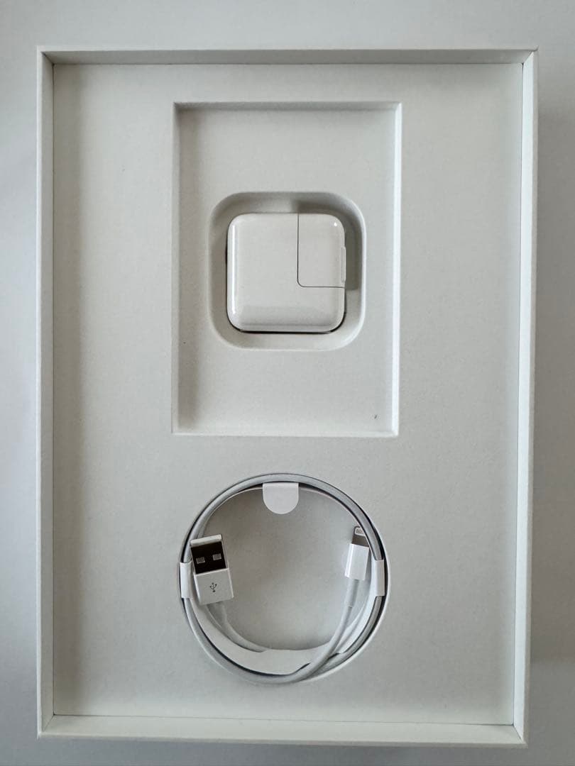 2月限定【本体+付属品】iPad 第6世代　32GB Wi-Fiモデル　シルバー