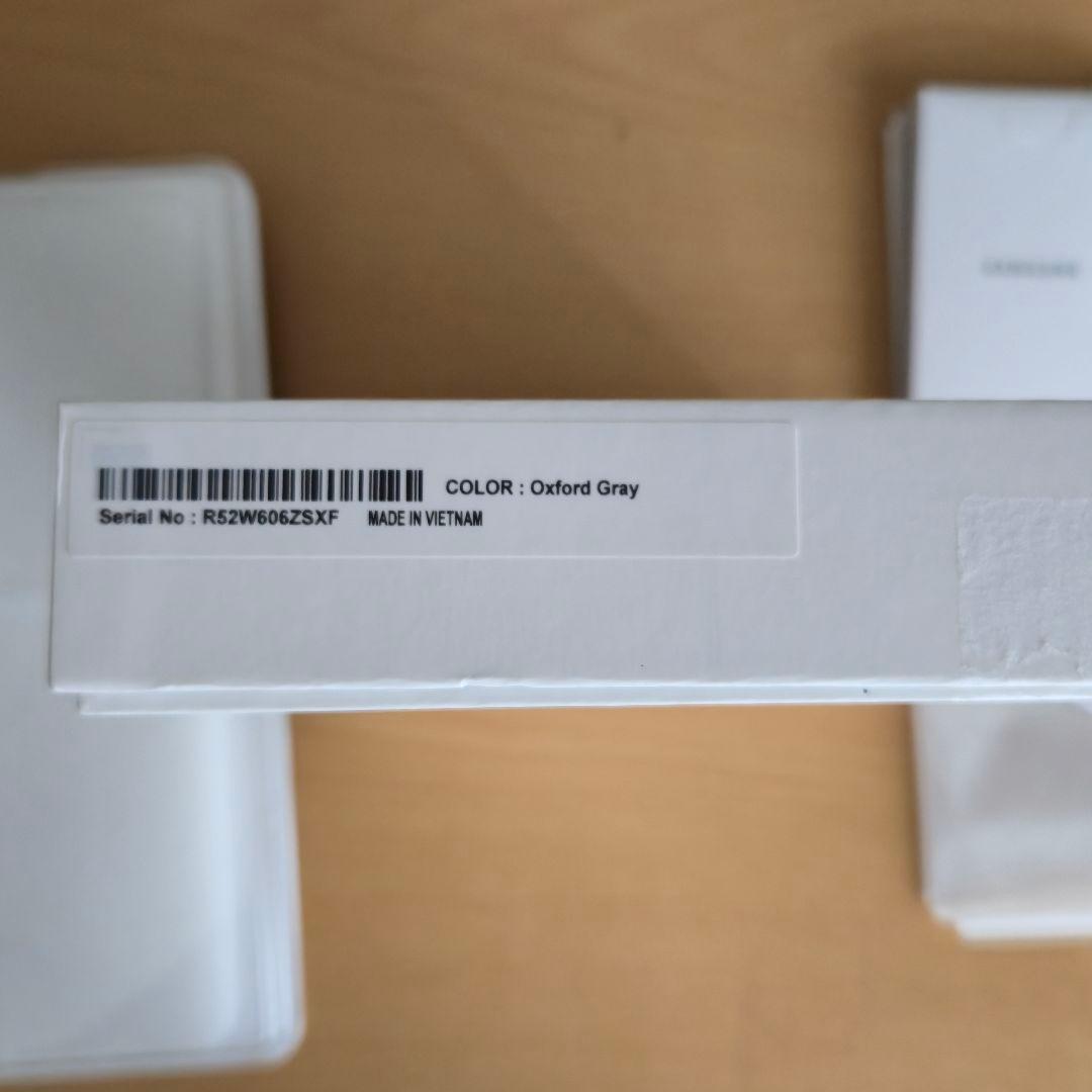 Samsung Galaxy Tab S6 Lite (Wi-Fi) 美品