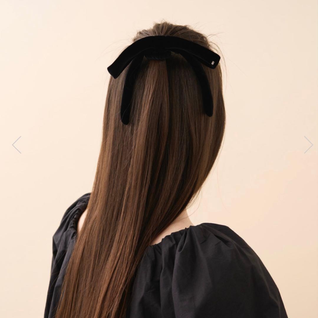 アレクサンドルドゥパリ　ベロアリボンポニー