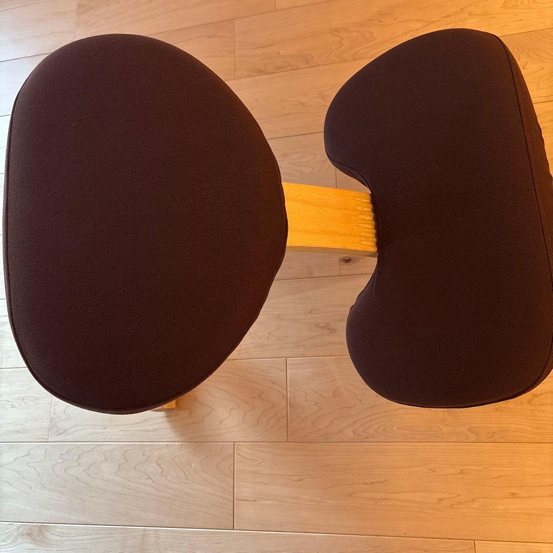 balans Easy バランスチェア　イージー　サカモトハウス　取扱説明書付