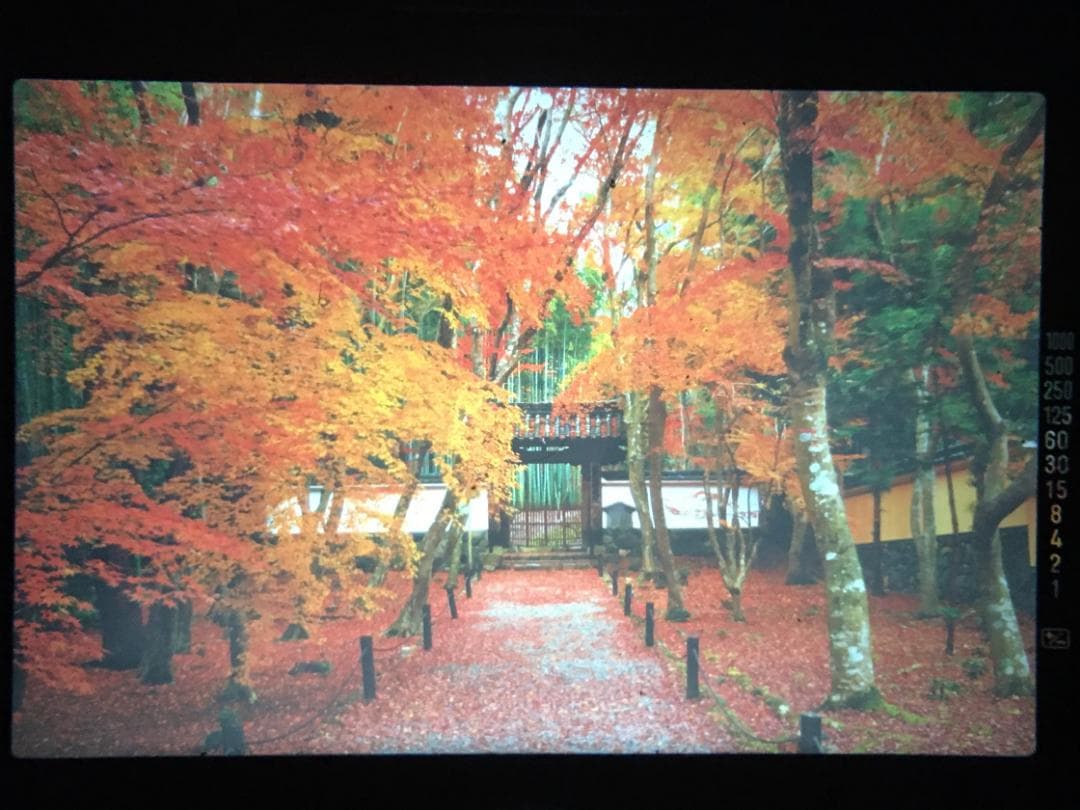 【整備済　美品】ミノルタ X-700 +MD Rokkor 50mm F1.7