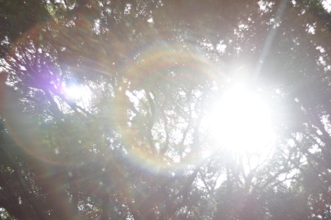 ★希少 PENTAX Super-Takumar 55mm F1.8 初期型