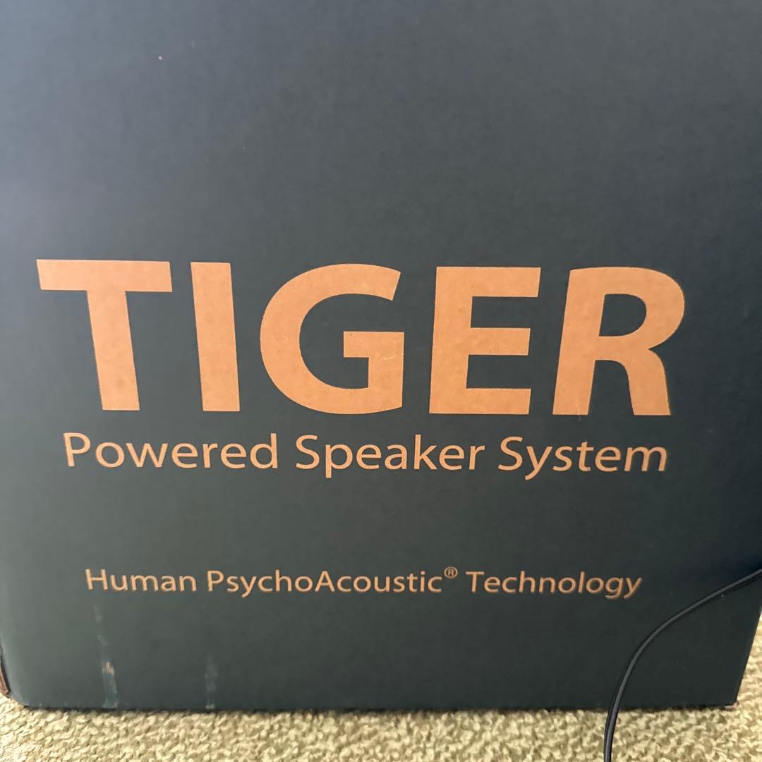 KOI TIGER パワードスピーカーシステム　　　　　　　　付属品全揃　箱有