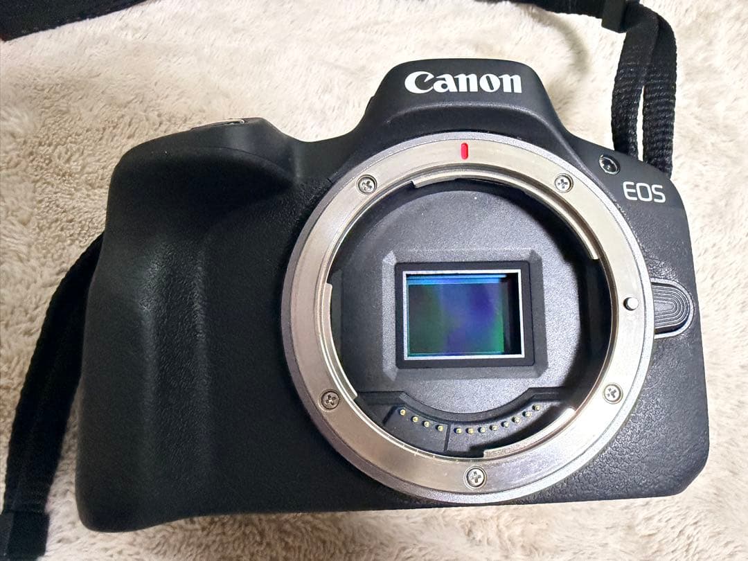 Thutrang2001 専用 Canon EOS R50 ミラーレス一眼 本体