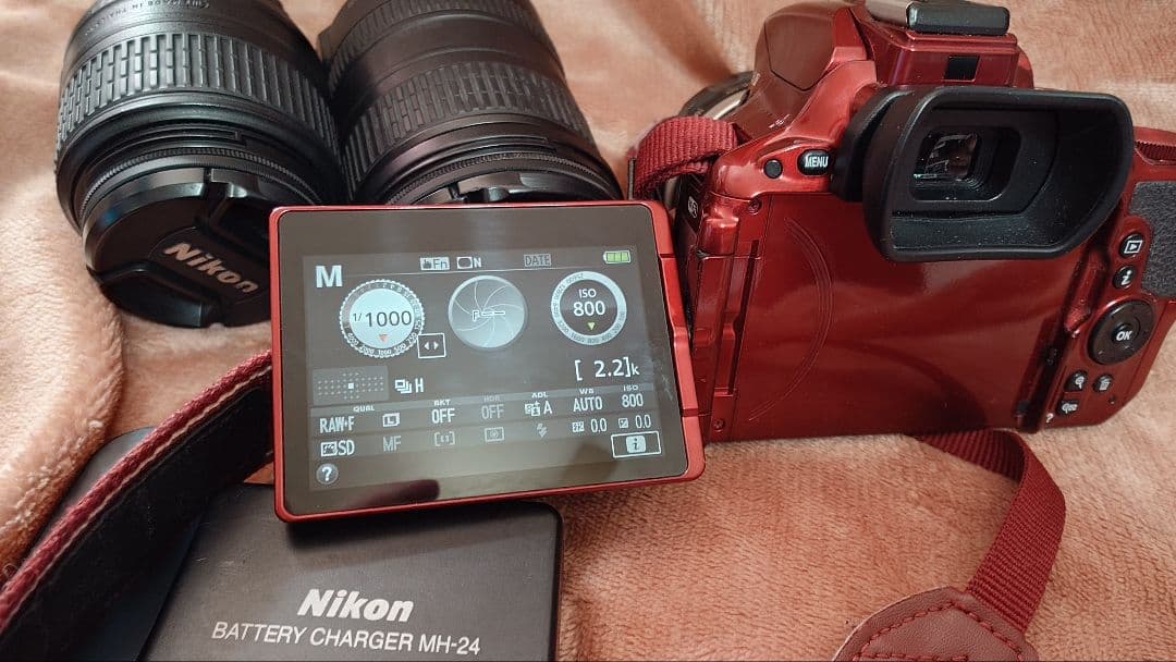 NIKKON Nikonデジタル一眼レフカメラ レッド D5500