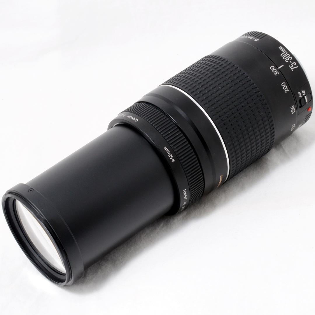 ⭐️美品⭐️Canon キャノン EF 75-300mm 4-5.6 Ⅲ USM