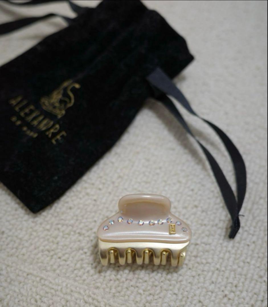 定価¥22,000 ALEXANDRE DE PARIS S クリップ ポーチ付