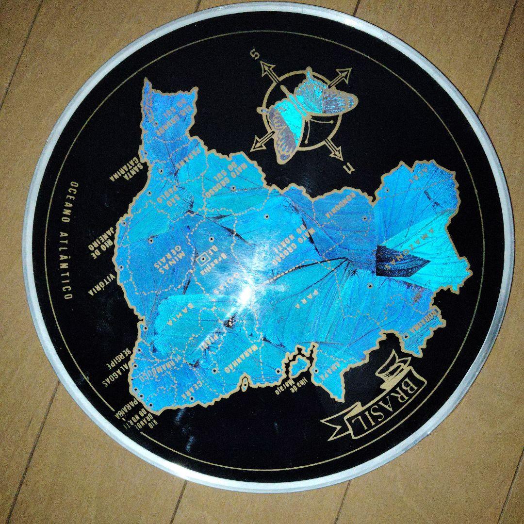 年末セール！　ブラジルの国旗のモルフォ蝶の飾り皿 お見上げ 翅細工