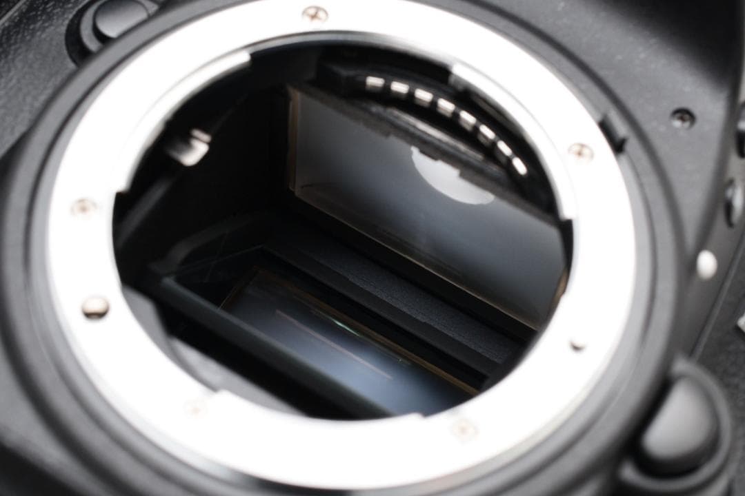 Nikon ニコン D600 ボディ ショット回数：4,359枚