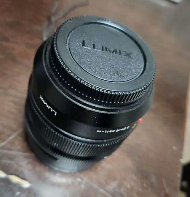 単焦点レンズDG SUMMILUX 12mm/F1.4 ASPH. H-X012