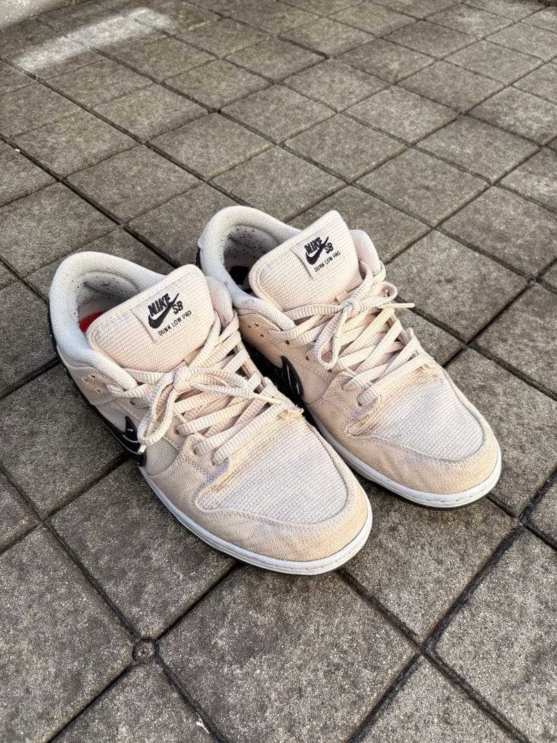 Albino & Preto × Nike SB Dunk Low Pro QS
