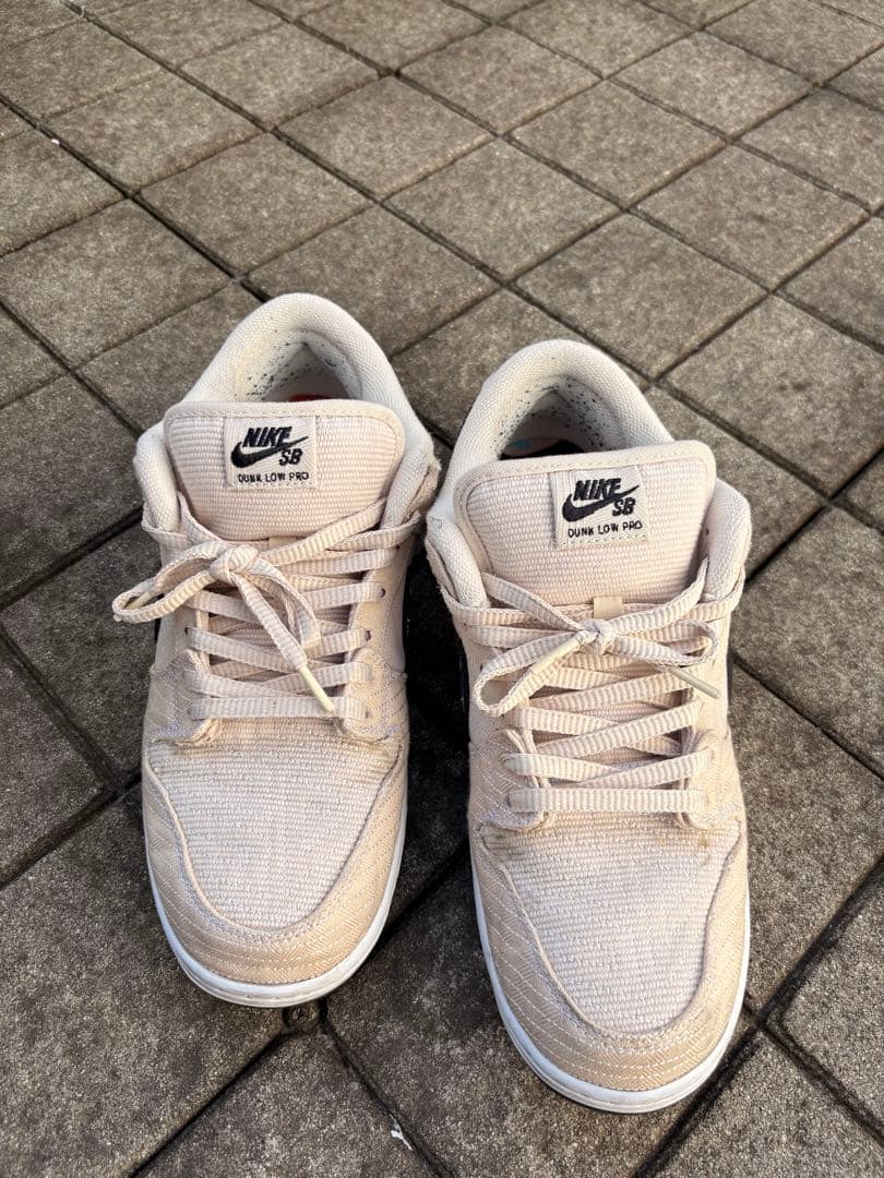 Albino & Preto × Nike SB Dunk Low Pro QS